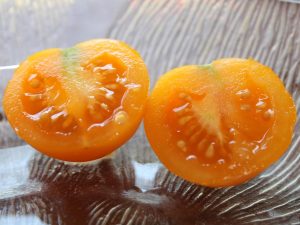 Das saftige Innere der Apricosa Tomate