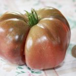 Die Black Krim Tomate
