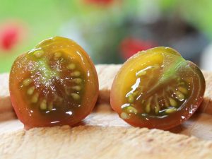 Das saftige Innere der Black Opal Tomate