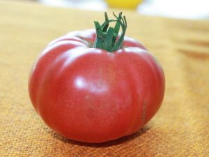 Sweet Israeli reife Tomate