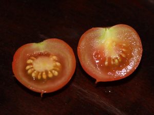 Tomatensorte Zuckertraube Innenansicht