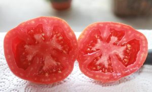 Halbierte Roter Sack Tomate