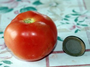 Reife Huberts Beste Tomate