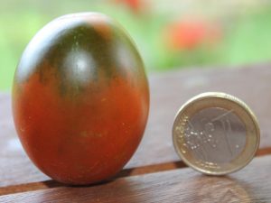 Cherry-Tomate Schwarze Pflaume